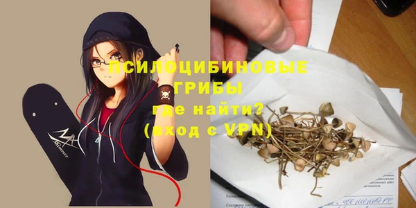 героин Бородино